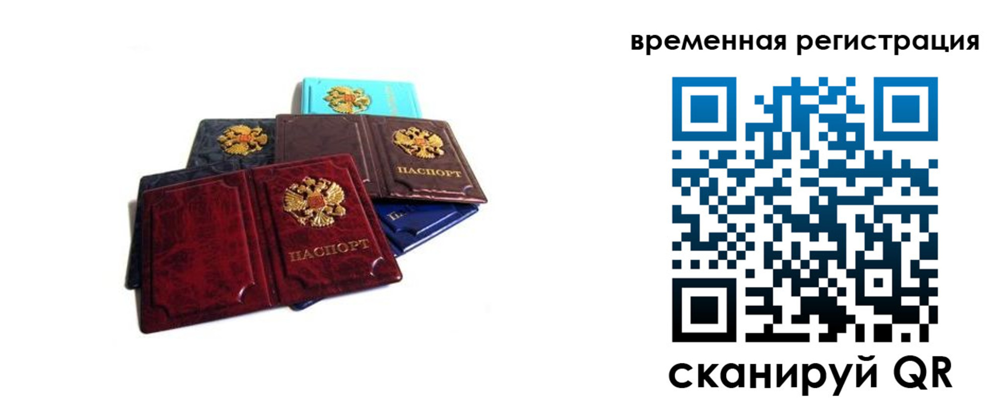 прописка гарантия в Ардоне
